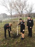 волонтеры Победы сажают дерево о Жукове 2021-12-02 at 00.06.28